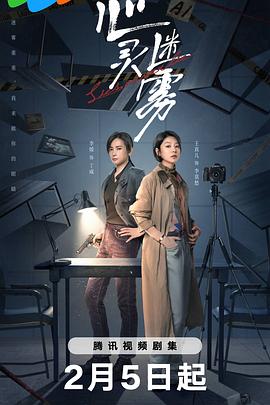 心灵迷雾海报剧照