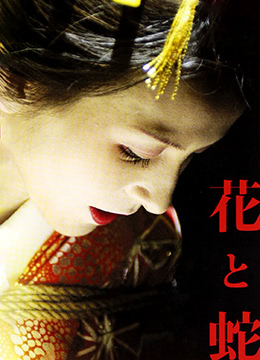 花与蛇2004海报剧照