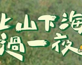 上山下海过一夜海报剧照