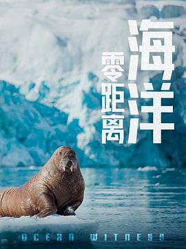 海洋零距离海报剧照