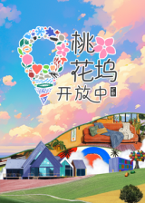 桃花坞开放中 第三季海报剧照