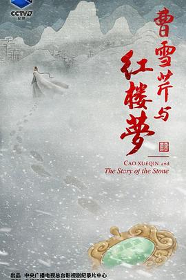 曹雪芹与红楼梦海报剧照