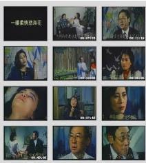 一缕柔情欲海花海报剧照
