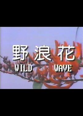 野浪花海报剧照