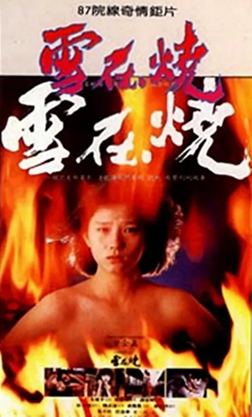 雪在烧1988海报剧照