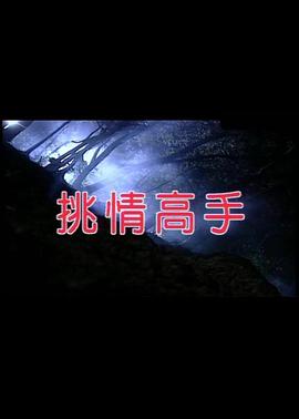 挑情高手海报剧照