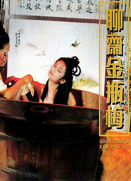 聊斋金瓶梅DVD海报剧照