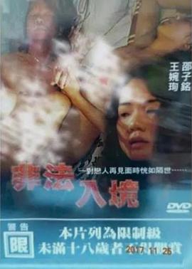 非法入境海报剧照