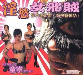 淫欲女飞贼海报剧照