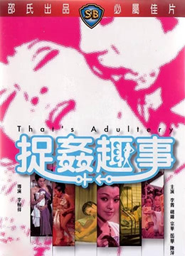 捉奸趣事海报剧照