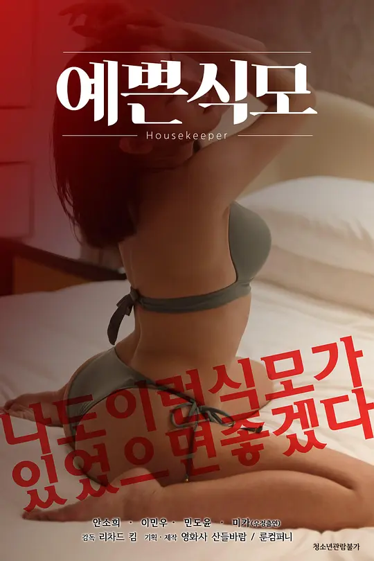 漂亮的保姆海报剧照