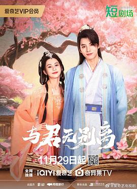 与君无别离海报剧照