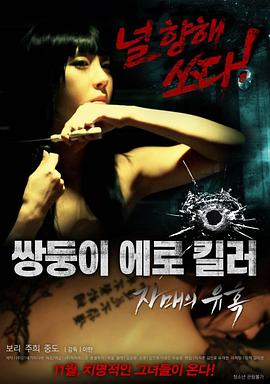 双胞女杀手海报剧照