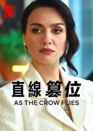直线篡位海报剧照