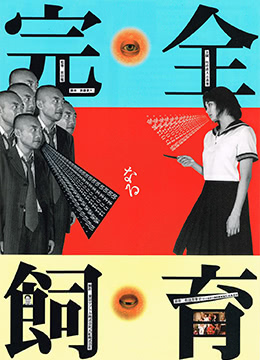 禁室培欲.完全饲育海报剧照