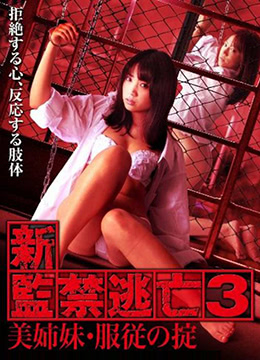 新监禁逃亡3：美姐妹服从守则海报剧照
