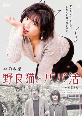 野猫少女海报剧照