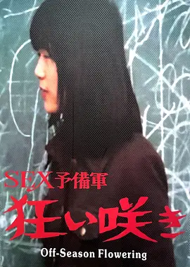 淡季花开海报剧照