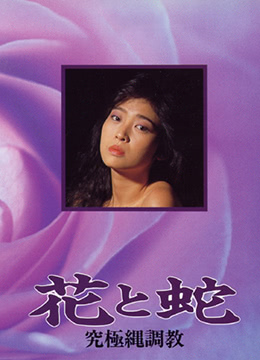 花与蛇 究极绳调教海报剧照