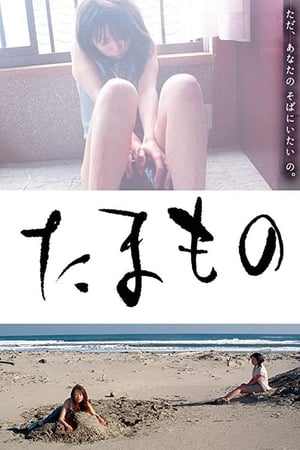 便当海报剧照